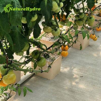 China Planting Dutch Bucket Hydroponic Planting Pots Hydroponic Dutch Bucket Vegetable Bucket for sale