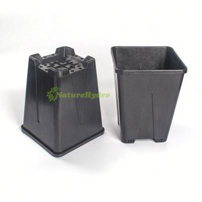 China Food Grade Plastic Seedling Black Nursery Plant Pot For Flowers for sale