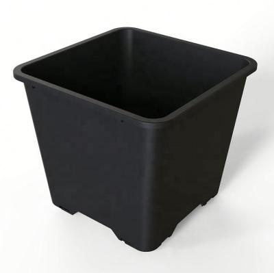 China Plastic PE Square Plant Pot Hydroponics Grow Containers For Blueberry for sale