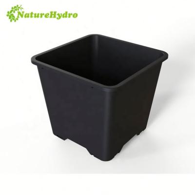 China 25L PE Square Hydroponic Grow Pot Blueberry Plastic Bucket For Sale for sale