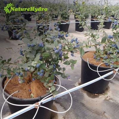 China PE Round 25L Hydroponic Blueberries Pot 13 Gallon Pot Blueberries for sale