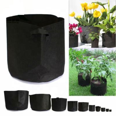 China Modern plant grow bag plants for the garden for sale