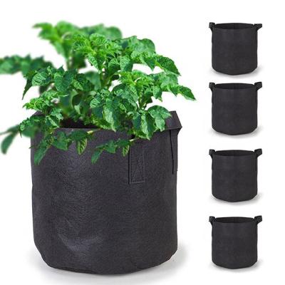 China Modern Plant 5 Gallon Fabric Grow Bags For Hemp for sale