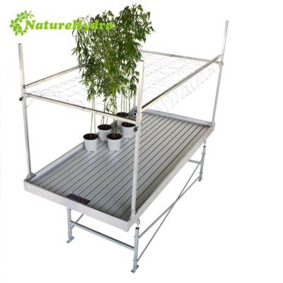 China Propagating Seedling and Growing Hydroponics Greenhouse Ebb and Flow Grow Table Greenhouse Rolling Rolling Bench for sale