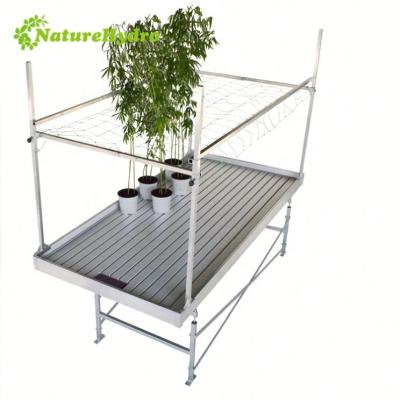 China Seedling propagation and multi-layer rearing raise table flood trays raising rolling benches for sale