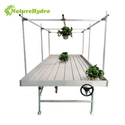 China Propagating Seedling and Growing Ebb and Flow Hydroponic System Ebb and Flow Table Ebb and Flow Systems for sale