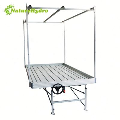 China 4x8 Rolling Bench Flood Seedling Propagation And Growing Drain Tray Hydroponic Ebb And Flow System for sale