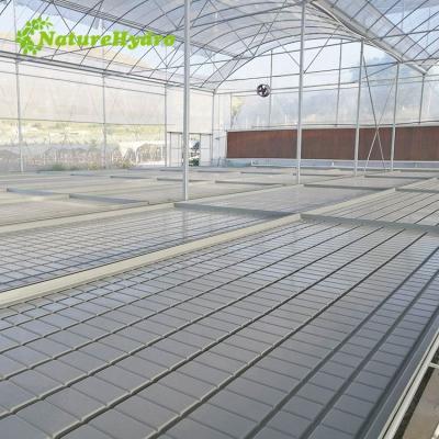 China Seedling Propagation and Rearing Bench /Greenhouse Ebb Flow Rolling Bench Ebb and Flow Tables and Plastic Tray Table for sale