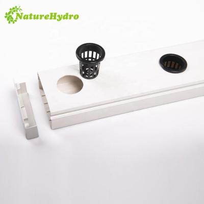 China Easy Assembly Hydroponic NFT Cutter NFT Gutters System for sale