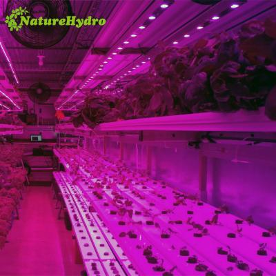 China Nft Channel For Lettuce Maker Channel Food Grade Nft Gutter System for sale