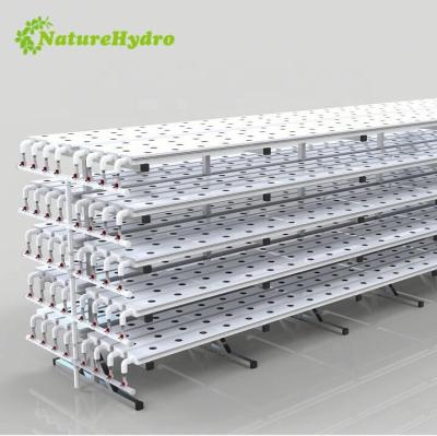 China Nft Channel PVC Gutter Hydroponic Growing System Hydroponic Vertical Strawberry Hydroponic Growing System for sale