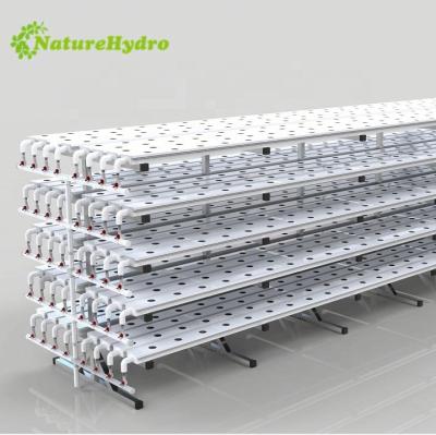 China Easy Agricultural Hydroponic Gutter NFT Channel Growing Assembly NFT System Supplier for sale