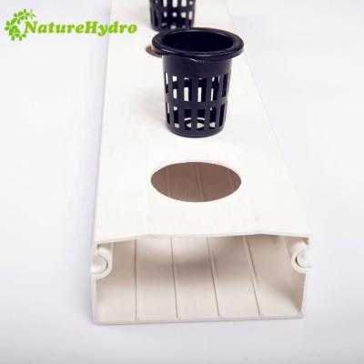 China Easy Assembly Plastic nft Gutter Hydroponics Channel For Lettuce , Strawberry for sale