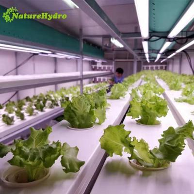 China Greenhouse Hydroponics System Hydroponics Vertical Tower Agricultural Growing Systems for sale