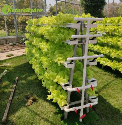 China Greenhouse Hydroponics System 10*5cm 10*10cm Gutter Hydroponics NFT Square Pipe for sale