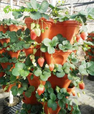 China Eco-friendly Best Price Vertical Strawberry Planter Stacking Pots For Indoor Hydroponics Farming for sale