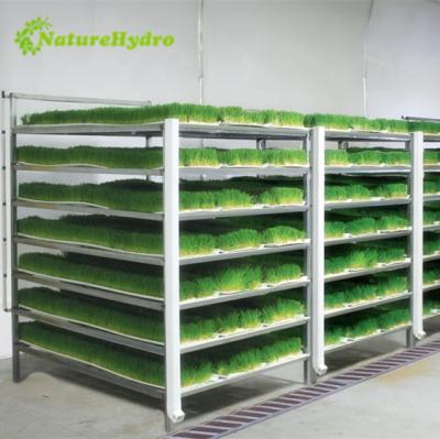 China PVC Barley Vertical Hydroponic Fodder Growing System For Animal for sale