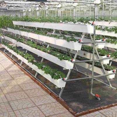 China PVC Strawberry Grow Plastic Hydroponic Gutter System For Greenhouse for sale