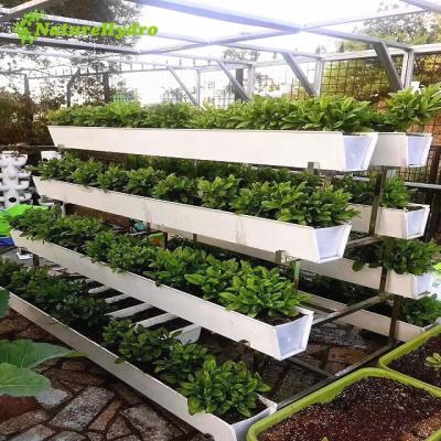 China PVC Vertical Plastic Tiller Grow Gutter Hydroponics System for sale