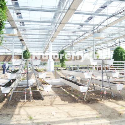 China PVC Plastic Gutter Elevate Trays System For Strawberry Growing for sale