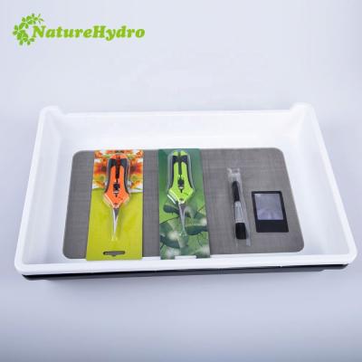 China American Style High Quality ABS Vacuum Form Plastic Tray Honey Bee Pollen Tray Trimming for sale