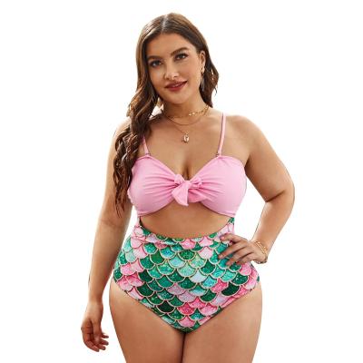 China Angel Luna 2022 Anti-UV Plus Size Swimwear Bust Swimwear Bikini Swimwear Large for sale