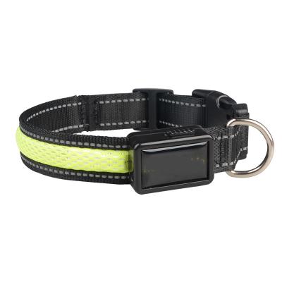 China Dog Collar USB Viable Nylon Led Dog Collar Light Led Rechargeable for sale