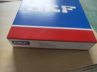 China SKF NJ224ECJ Cylinder Roller Bearing For Instrumentation for sale