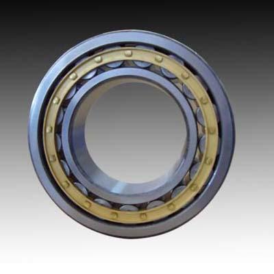 China Double Row Cylindrical Roller Bearings for sale