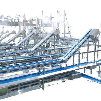 China ANTI-SUB POULTRY UNDERWATER Conveyor System is used for transportation of poultry products and packaging materials in process for sale