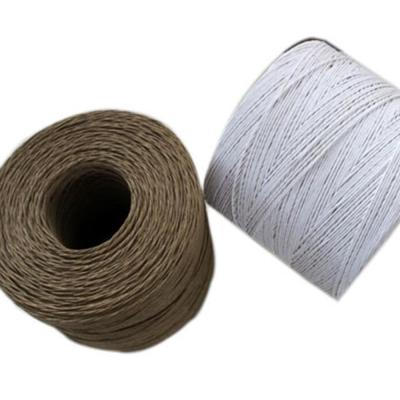 China eco-friendly paper cord yarn / yarn paper cord for gardening / farmer paper raffia yarn for sale