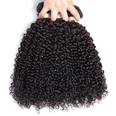 China Real Brazilian Kinky Curly Hair Extension Curly Hair Weave Bundle Curly Hair Bundle Weft Wholesale for sale