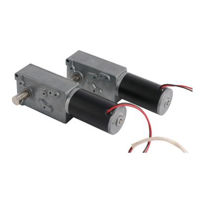 China BOAT Factory DC Geared Speed ​​Control Motor 12v 24v High Torque DC Worm Gear Low Speed ​​Motor for sale