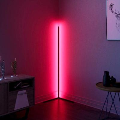 China Modern RGB Color Changing Standing Corner Lamp, Smart Dimmable LED Floor Lamp For Living Room Bedroom With Remote Controller for sale