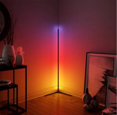 China Simple Adjustable Min Stand Smaller RGB Modern Bedroom Floor Lamp Warm Led Corner Floor Lamp for sale