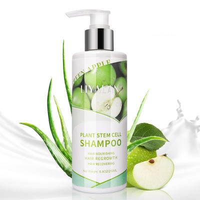 China 250ml Luxury Hair Regrowth Loss Prevention Nourishing Recovering Anti Hair Loss Repair Plant Stem Cell Organic Shampoo for sale