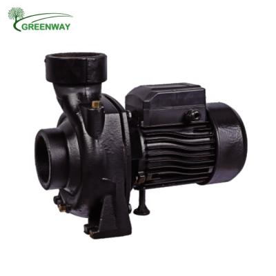 China Drinking Water Treatment GS CPM 750W 72V Water Pump DC Solar Surface Water Pumps For Irrigation Solar Centrifugal Pump for sale