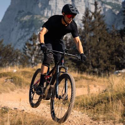 China Adult Carbon MTB Ebike Kit With Battery LCD 36V Mountainbike Stealth Display Air SCALATA Ebike 60km E Bike J for sale