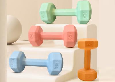 China Gym Fitness Equipment Plastic Yoga Small Dumbells Set For Women for sale