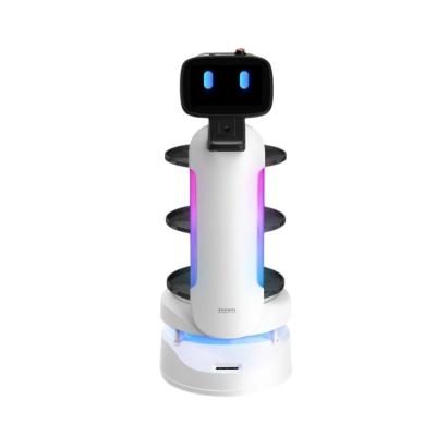 China Service Industry Factory Sale Commercial Waiter Robots Humanoides Server human size robots for sale for sale