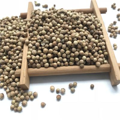 China Xiang Cai Zi Herbs Spice Chinese Single Coriander Seeds For Sale for sale