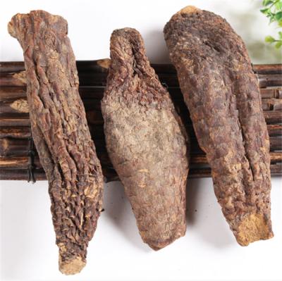 China Rou cong herbs and Chinese Cistanche dried fake herba spice roots for sale