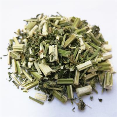 China YI MU cao dry chinese herbs and natural spice yoni herb motherwort herb Leonurus japonicus for sale