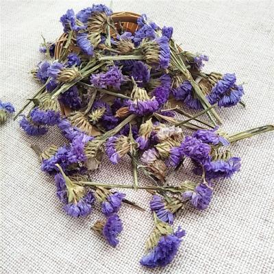 China Wholesale Organic Blooming Tea Herb Dried Forget-Me-Not Flower Tea Forget Me Not Flower Tea for sale