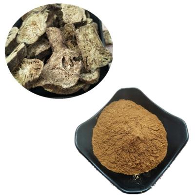 China Nutritional Chinese Herbal Saussurea Lappa Extract Powder Pure Saussurea Costus p.e for sale