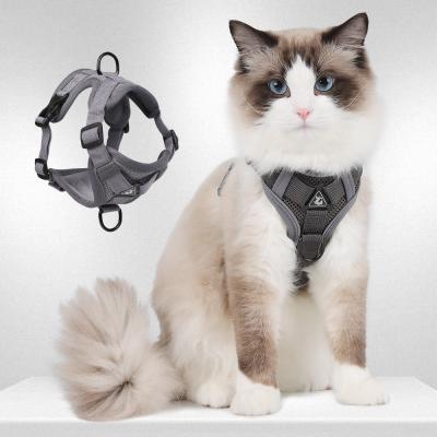 China Leash for small dogs and cats with reflective breathable vest pet harness for sale