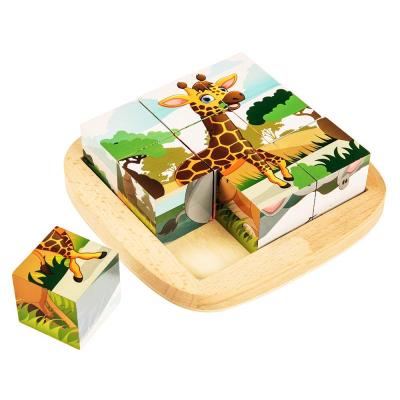 China Kids Toy Early Learning Wooden Puzzles Clever for Toddlers Montessori Animal Shape Toys Brain Teasers for sale