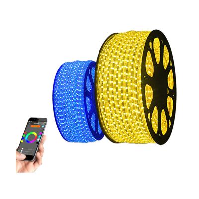 China Flexible 16 Colors Wirless 12 Volt Led Rope Lights Control By IOS / ANDROID Bluetooth for sale