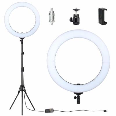 China Flashpoint Fluorescent Ring Light With Stand , Video Shooting Photo Ring Light for sale