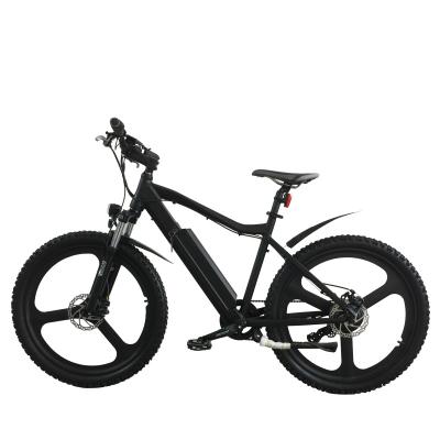 China Aluminum Alloy CE 26 Inch Electric Bike 1000w Snow Bike Mountain 48v With Mag Wheel for sale